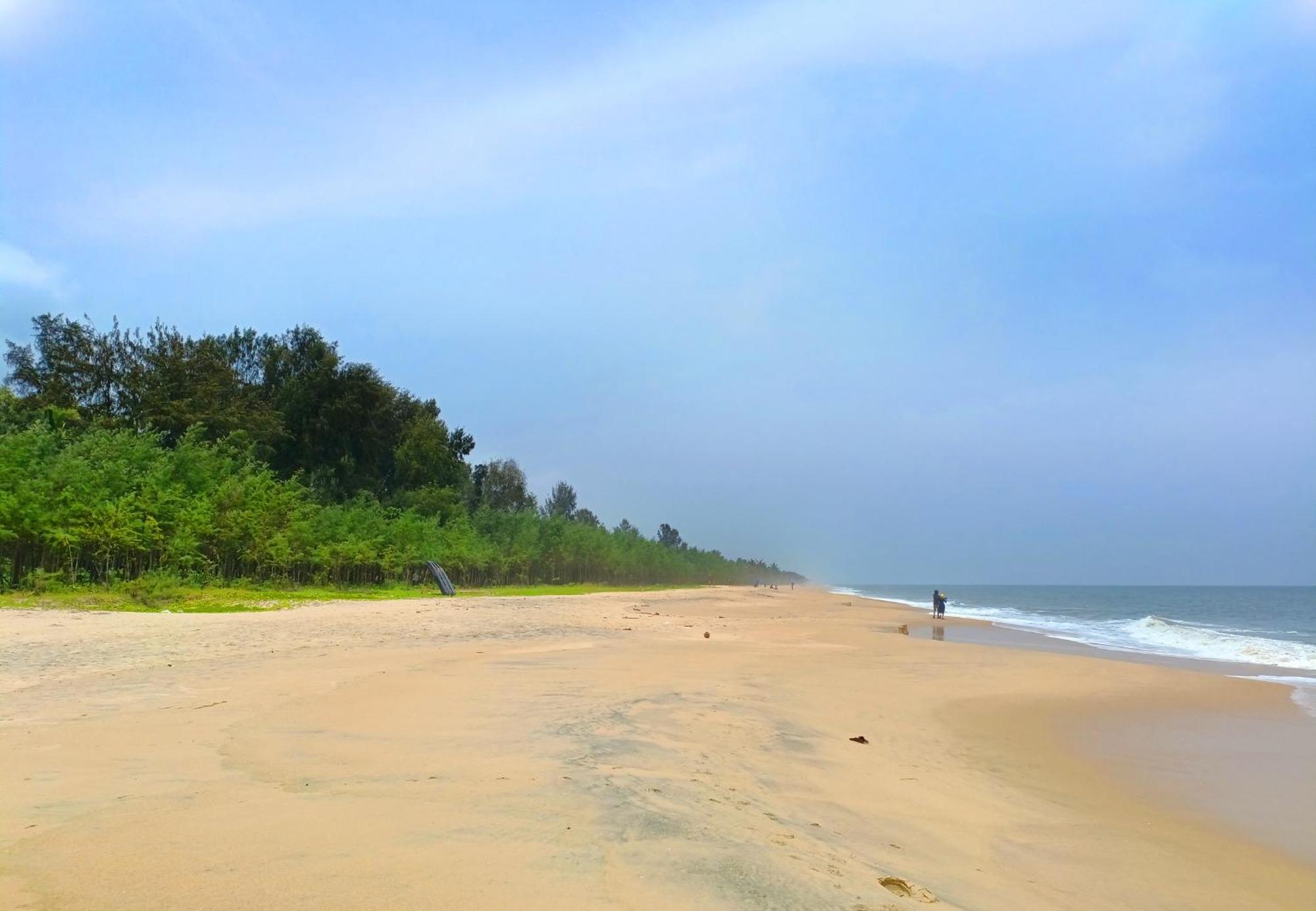 Marari Beach Cleetus Homestay 마라리쿨람 외부 사진