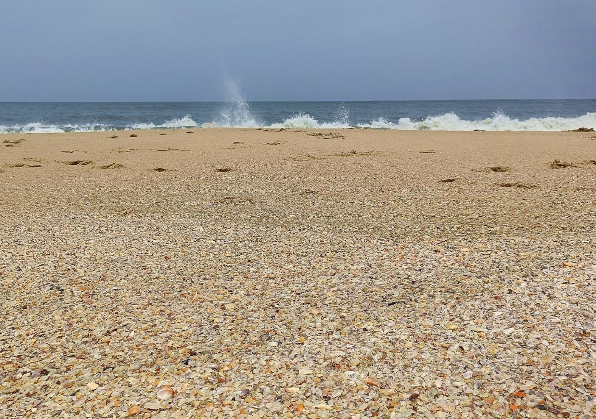 Marari Beach Cleetus Homestay 마라리쿨람 외부 사진