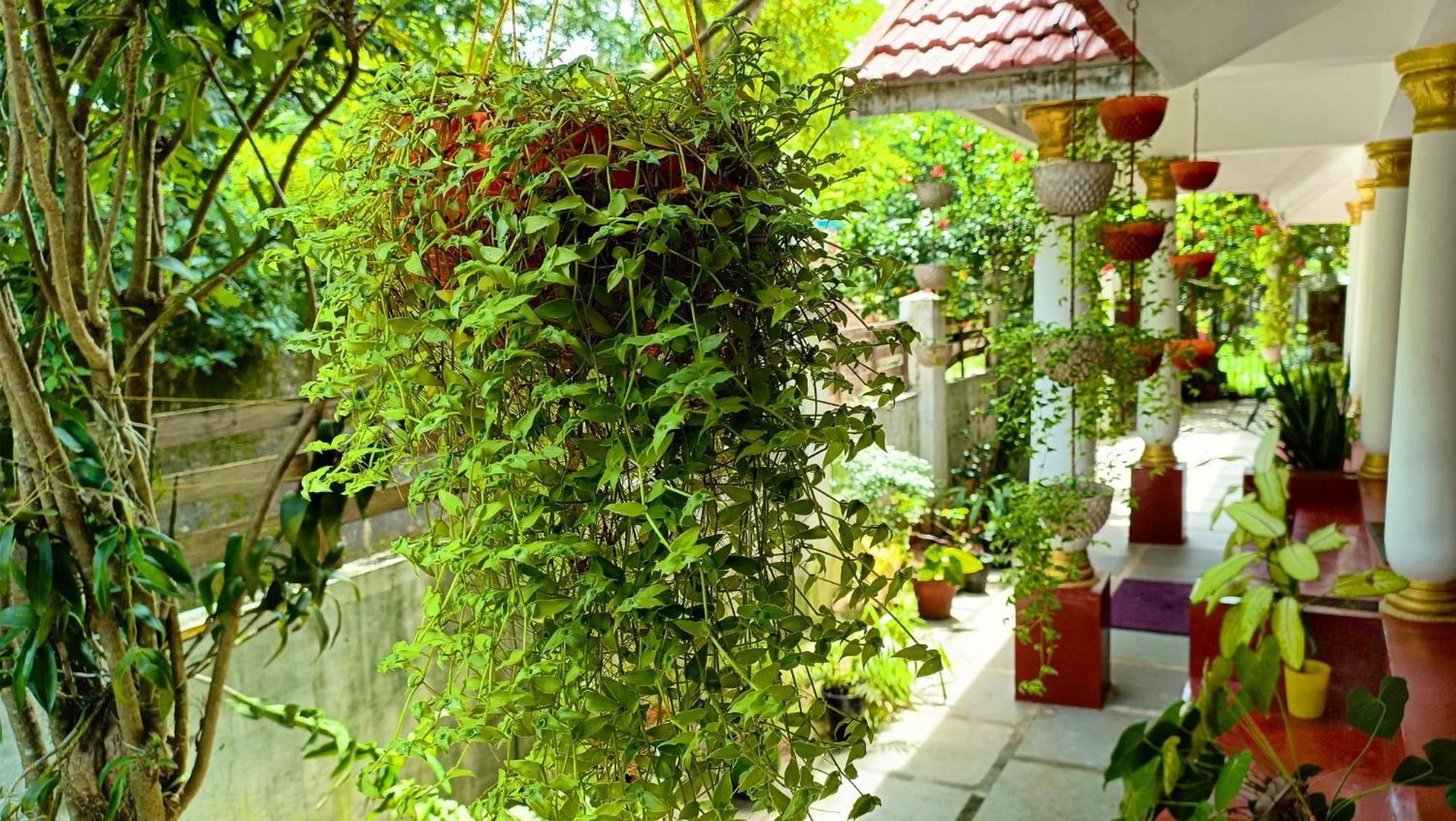 Marari Beach Cleetus Homestay 마라리쿨람 외부 사진